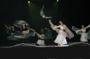 Thumbs/tn_IMG_4968.jpg